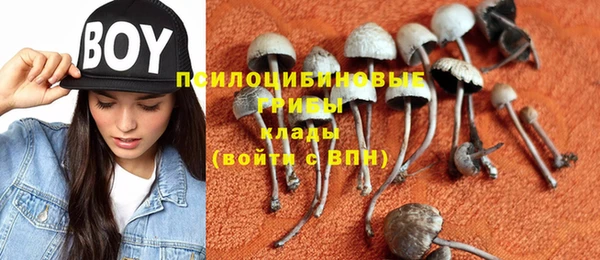 гашик Абаза